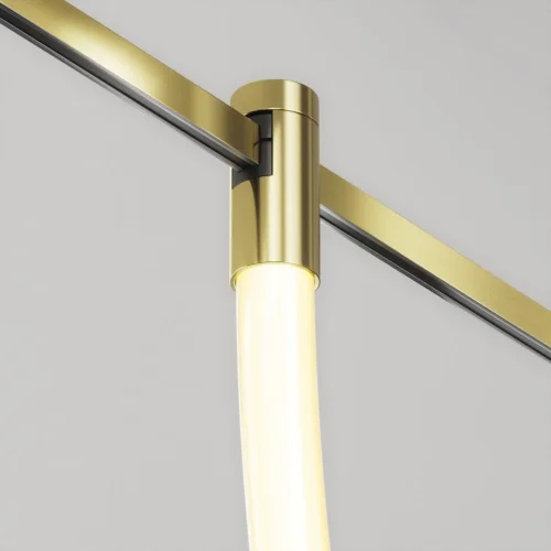 Трековый светильник LED Magnetic trаck system Flarity TR154-1-27W3K-BS Maytoni белый для шинопроводов серии Magnetic trаck system Flarity латунь фото 7 Трековый светильник LED Magnetic trаck system Flarity TR154-1-27W3K-BS Maytoni белый для шинопроводов серии Magnetic trаck system Flarity латунь фото 7