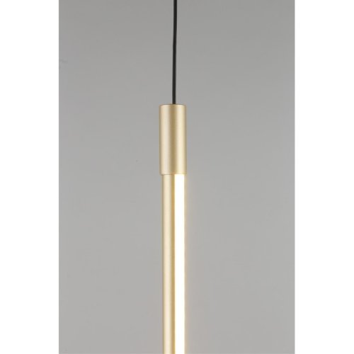 Светильник подвесной LED Gabi APL.0123.16.15 Aployt золотой 1 лампа, основание золотое в стиле современный трубочки фото 2