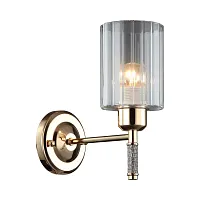 Бра Dronero OML-66511-01 Omnilux прозрачный 1 лампа, основание золотое в стиле современный 