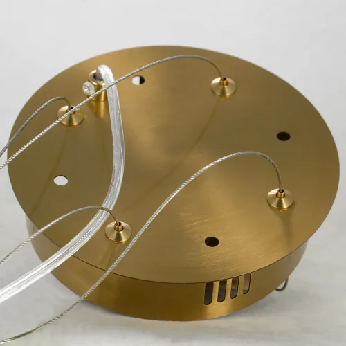 Люстра подвесная Adams LSP-8606 Lussole прозрачная на 13 ламп, основание матовое золото в стиле арт-деко ветви фото 6