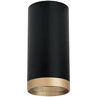Светильник накладной Rullo R6487490 Lightstar чёрный 1 лампа, основание чёрное в стиле современный круглый