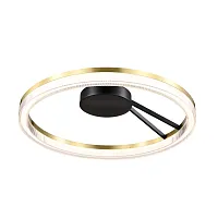 Светильник потолочный LED Rotonda 736040 Lightstar прозрачный 1 лампа, основание чёрное в стиле современный кольца