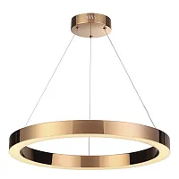 Светильник подвесной LED Brizzi 3885/35LA Odeon Light бронзовый 1 лампа, основание бронзовое в стиле современный хай-тек кольца