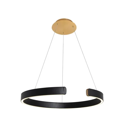 Светильник подвесной LED Ring 10025/600 Black LOFT IT чёрный 1 лампа, основание золотое в стиле современный хай-тек кольца фото 2