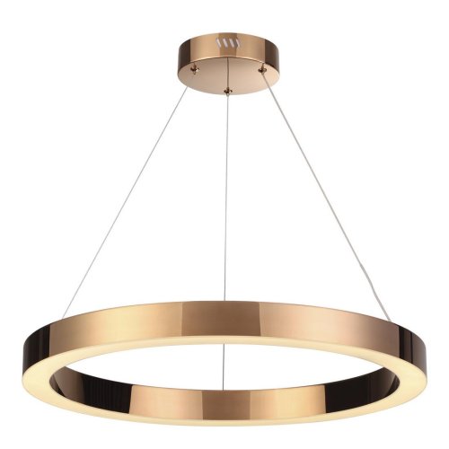 Светильник подвесной LED Brizzi 3885/35LA Odeon Light бронзовый 1 лампа, основание бронзовое в стиле хай-тек современный кольца
