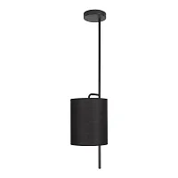 Светильник подвесной Ritz 10253P Black LOFT IT чёрный 1 лампа, основание чёрное в стиле современный 