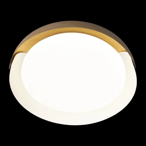 Светильник потолочный LED Coin 10198 White LOFT IT белый бежевый коричневый 1 лампа, основание коричневое белое в стиле современный  фото 6