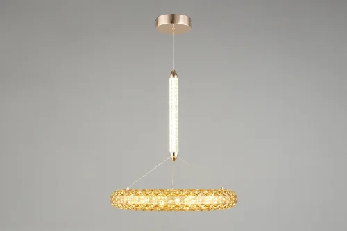 Светильник подвесной LED Danuta APL.035.06.25 Aployt золотой 1 лампа, основание золотое в стиле современный  фото 4