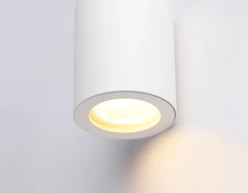 Светильник накладной TN22797 Ambrella light белый 1 лампа, основание белое в стиле хай-тек современный круглый фото 5