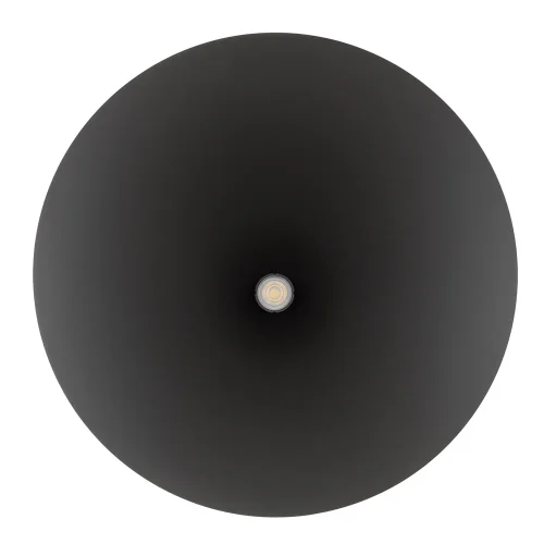 Светильник подвесной Zenith L 10873-NW Nowodvorski серый на 1 лампу, основание серое в стиле лофт фото 5