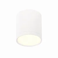 Светильник накладной LED Rene ST113.532.05 ST-Luce белый 1 лампа, основание белое в стиле хай-тек круглый