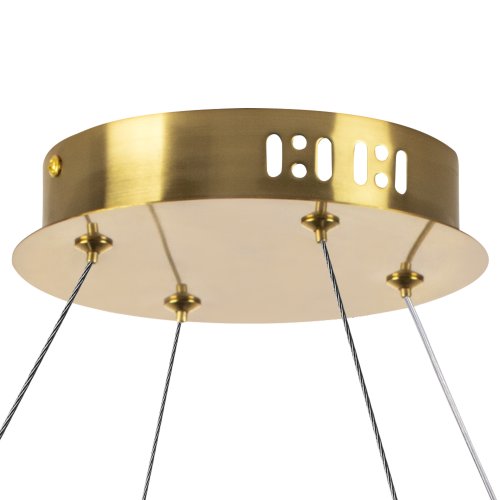 Светильник подвесной LED Vidare 699083 Lightstar прозрачный на 1 лампу, основание золотое в стиле современный кольца фото 4