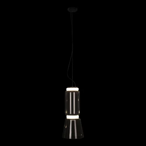 Светильник подвесной LED Noctambule 10193/S LOFT IT прозрачный 2 лампы, основание чёрное в стиле современный  фото 2