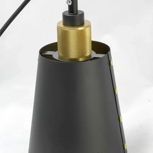Светильник подвесной лофт Shirley GRLSP-9861 Lussole чёрный 1 лампа, основание чёрное в стиле лофт  фото 3