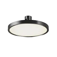 Трековый светильник Plato Flarity 4000K 10Вт 120° TR153-1-10W4K-B Maytoni белый для шинопроводов серии Plato чёрный