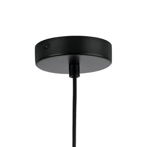 Светильник подвесной Ramo 690017 Lightstar прозрачный 1 лампа, основание чёрное в стиле современный  фото 2