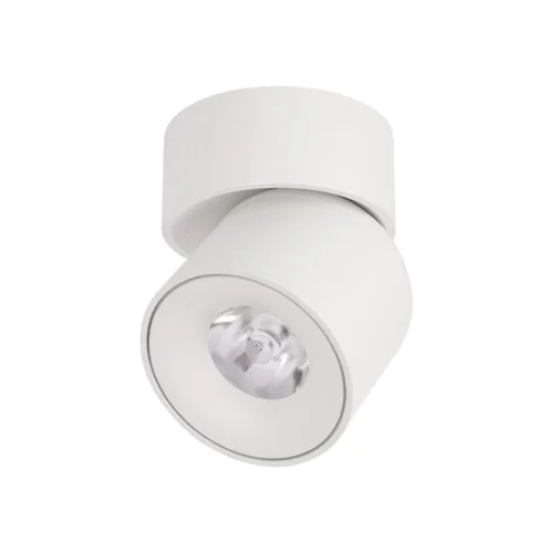 Светильник накладной LED Tictac 10180 White LOFT IT белый 1 лампа, основание белое в стиле современный круглый