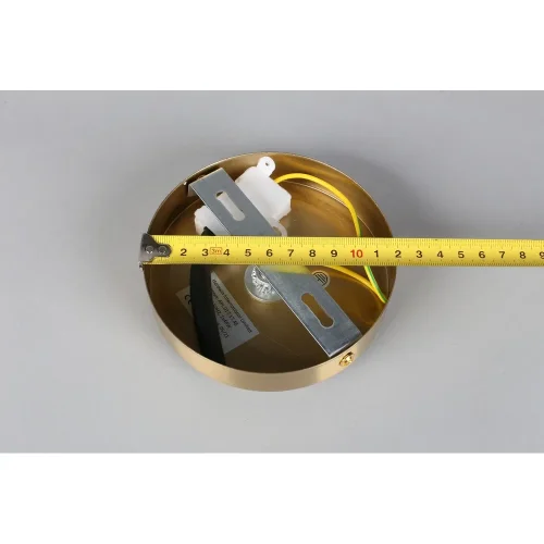 Люстра потолочная LED Frania APL.017.17.48 Aployt белая на 1 лампу, основание бронзовое в стиле современный фото 5