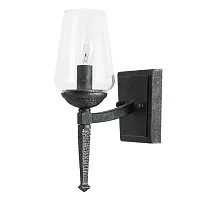 Бра Stefan A1722AP-1BA Arte Lamp прозрачный 1 лампа, основание чёрное в стиле замковый 