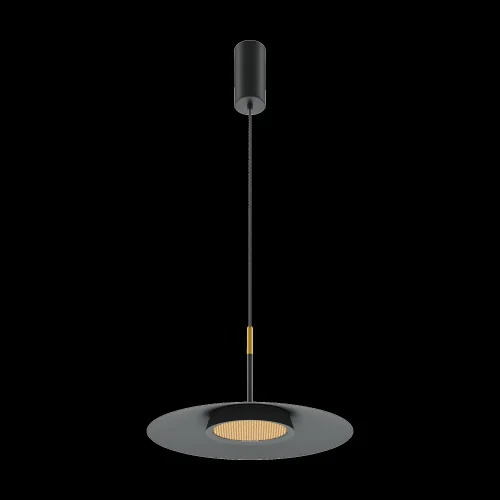Светильник подвесной LED El MOD041PL-L15B3K1 Maytoni чёрный 1 лампа, основание чёрное в стиле современный  фото 4