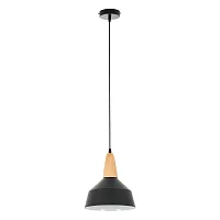 Светильник подвесной Brigitte MR1402-1P MyFar чёрный 1 лампа, основание чёрное в стиле современный скандинавский лофт 