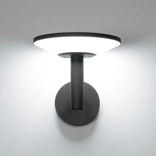 Настенный светильник уличный LED Dorn CLU05W Citilux уличный IP65 графит на 1 лампу, плафон графит в стиле современный LED фото 7