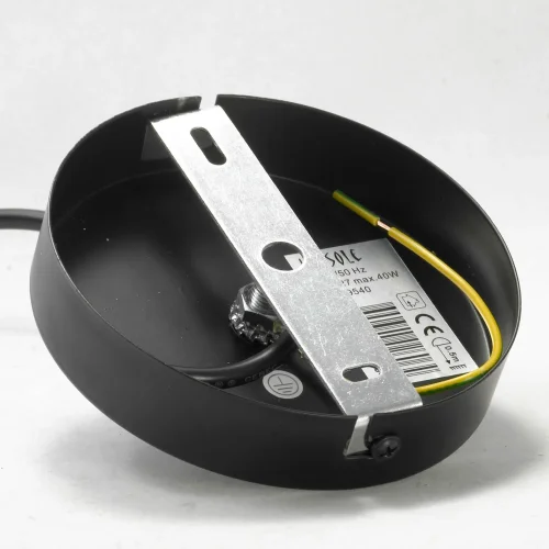 Светильник подвесной лофт Badger GRLSP-9540 Lussole чёрный 1 лампа, основание чёрное в стиле лофт  фото 6