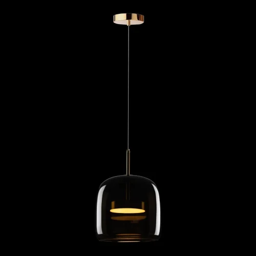 Светильник подвесной LED Dauphin 10040A LOFT IT коричневый 1 лампа, основание золотое в стиле современный выдувное фото 2