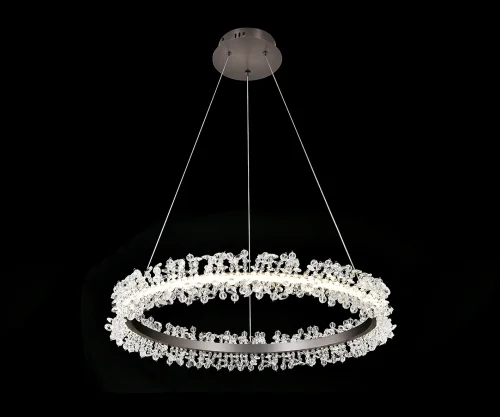 Светильник подвесной LED Лаура 08243,29A Kink Light прозрачный на 1 лампу, основание чёрное в стиле современный кольца Светильник подвесной LED Лаура 08243,29A Kink Light прозрачный на 1 лампу, основание чёрное в стиле современный кольца