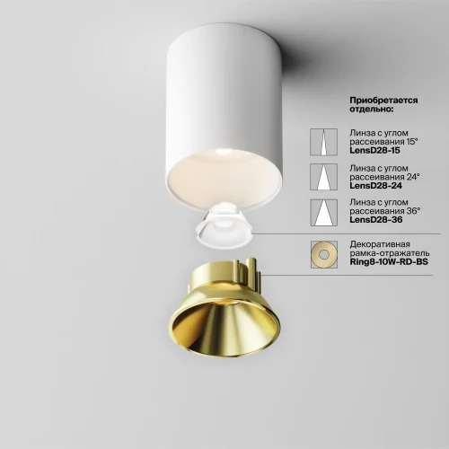 Светильник накладной LED Alfa LED C064CL-8W3K-RD-WB Maytoni белый на 1 лампу, основание белое в стиле современный хай-тек круглый фото 11