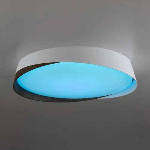 Светильник потолочный LED RGB с пультом Bonny CL754350G Citilux белый 1 лампа, основание белое в стиле современный хай-тек круглый с пультом фото 5