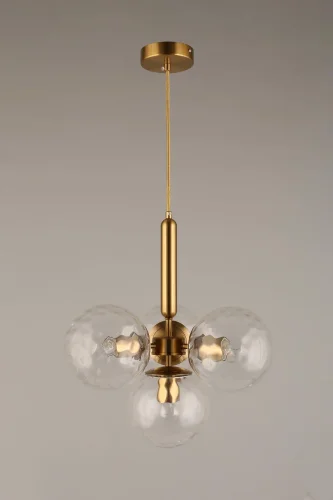 Светильник подвесной Lora APL.728.06.04 Aployt прозрачный 4 лампы, основание латунь в стиле современный лофт шар фото 5