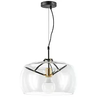 Светильник подвесной Acquario 752010 Lightstar чёрный 1 лампа, основание прозрачное в стиле арт-деко 
