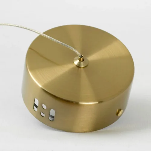 Светильник подвесной LED Enterprise LSP-7251 Lussole прозрачный 1 лампа, основание золотое в стиле хай-тек современный  фото 4