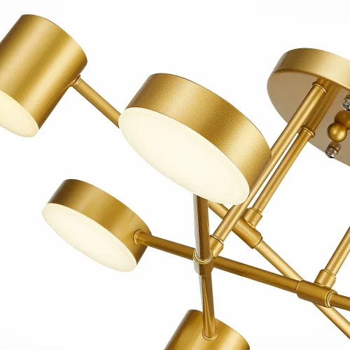 Светильник потолочный LED Nobel SLE201022-06 Evoluce золотой 6 ламп, основание золотое в стиле хай-тек современный  фото 5