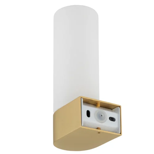 Бра Natalie 10724-NW Nowodvorski белый на 1 лампу, основание латунь в стиле современный фото 7 Бра Natalie 10724-NW Nowodvorski белый на 1 лампу, основание латунь в стиле современный фото 7