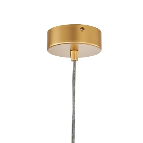 Светильник подвесной LED Castled 4008-2P Favourite золотой 2 лампы, основание золотое в стиле современный  фото 4