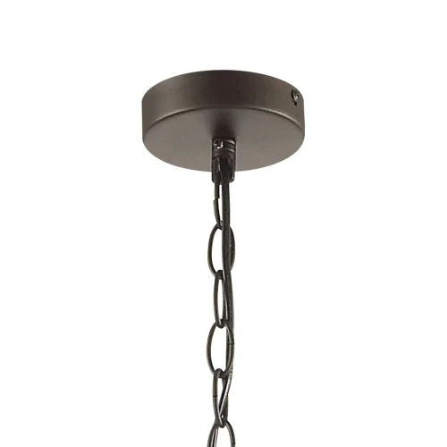 Светильник подвесной Mirum 1954-1P Favourite прозрачный 1 лампа, основание коричневое в стиле кантри  фото 3