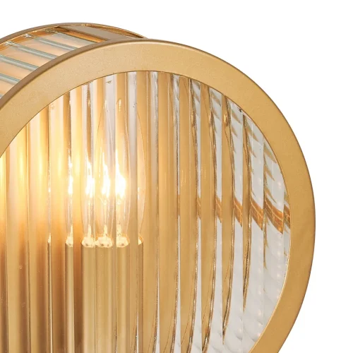 Бра Radiales 3099-1W Favourite прозрачный на 1 лампа, основание золотое в стиле классический  фото 3