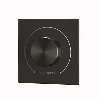 Роторная панель управления DALI DT6 DIM 721034 Maytoni на 1 , основание чёрное в стиле 