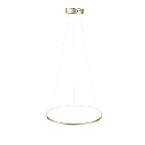 Светильник подвесной LED Erto SL904.203.01 ST-Luce золотой на 1 лампу, основание золотое в стиле хай-тек кольца фото 3