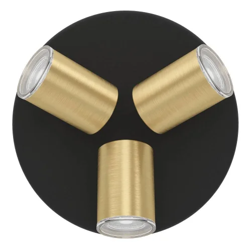 Спот с 3 лампами Consuma 300586 Eglo латунь GU10 в стиле современный фото 5 Спот с 3 лампами Consuma 300586 Eglo латунь GU10 в стиле современный фото 5