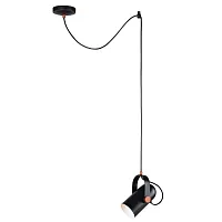 Светильник подвесной Ampolla 2007-1P Favourite чёрный 1 лампа, основание чёрное в стиле современный 