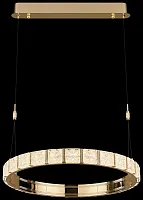 Светильник подвесной LED Vera WE458.01.323 Wertmark прозрачный 1 лампа, основание золотое в стиле хай-тек современный кольца