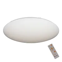 Люстра потолочная LED с пультом Orion OML-43017-80 Omnilux белая на 1 лампу, основание белое в стиле хай-тек с пультом