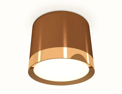 Светильник накладной XS8117001 Ambrella light коричневый 1 лампа, основание коричневое в стиле хай-тек круглый