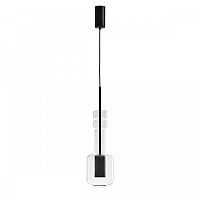 Светильник подвесной Verona 6503/1A Lumion прозрачный 1 лампа, основание чёрное в стиле модерн 
