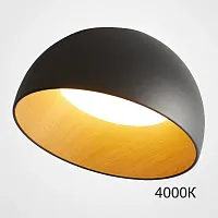 Светильник потолочный BARA A D50 Black 4000К 223994-23 ImperiumLoft чёрный на 1 лампу, основание коричневое в стиле современный скандинавский минимализм 