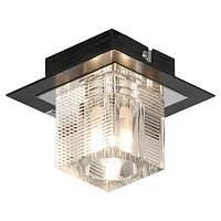 Светильник точечный NOTTE DI LUNA LSF-1307-01 Lussole прозрачный 1 лампа, основание хром в стиле модерн 