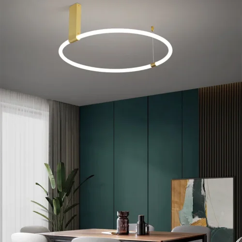 Светильник потолочный RINGMOR D60 D80 R2 207983-23 ImperiumLoft белый на 1 лампу, основание латунь в стиле современный фото 7 Светильник потолочный RINGMOR D60 D80 R2 207983-23 ImperiumLoft белый на 1 лампу, основание латунь в стиле современный фото 7